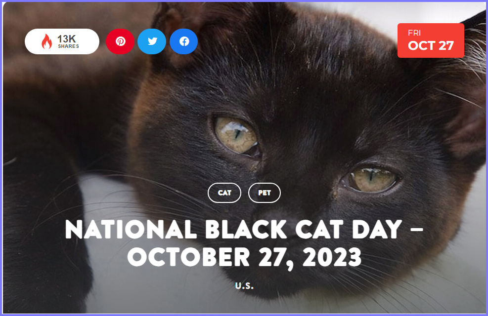 National Today Wednesday October 27 2023 * National Black Cat Day * Oct_2710