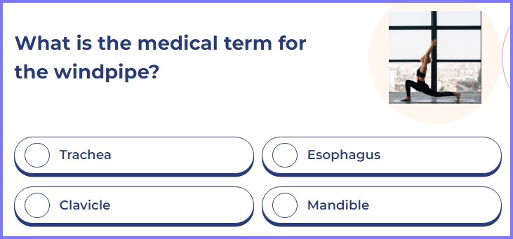 QUIZ TREAT QUIZ * What is the medical term for the windpipe? * Scree194