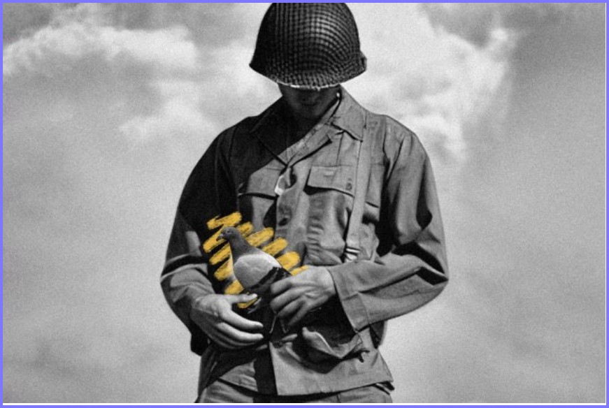 HISTORY FACTS * The strangest recipients of WWII medals * Scree292
