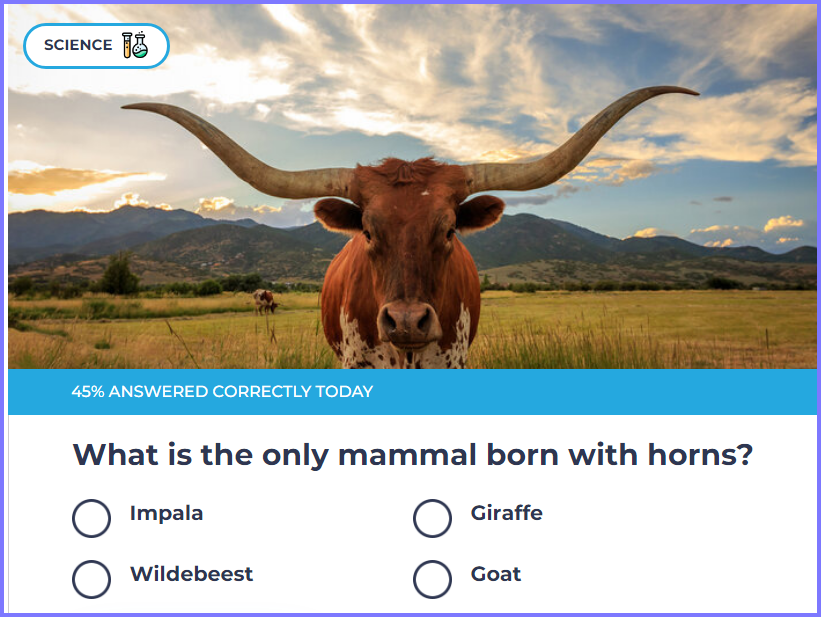 TRIVIA GENIUS QUIZ *  What is the only mammal born with horns? * Scree366