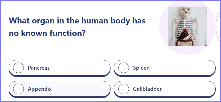 QUIZ TREAT QUIZ * What organ in the human body has no known function? * Screen57