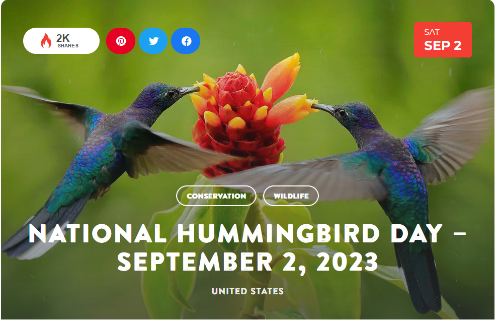 National Today Saturday September 2 * National Hummingbird Day * Sept_210