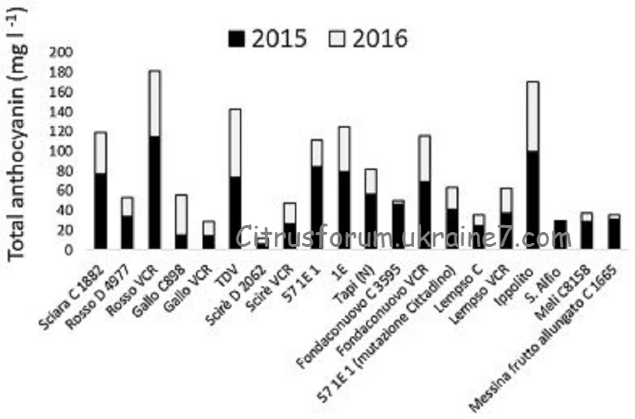 Вплив, вміст антоціаніну (сорта, підщепи) Aaa15