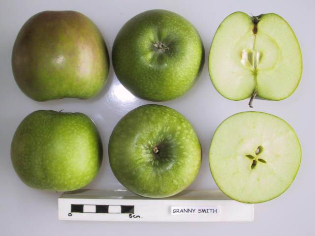 Гренні Сміт (Granny Smith) Cross_11