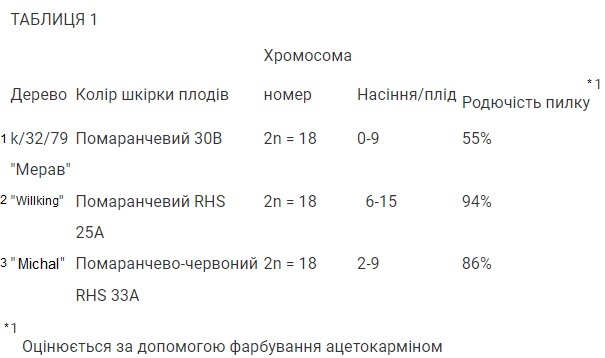 Merav mandarin Merav_11