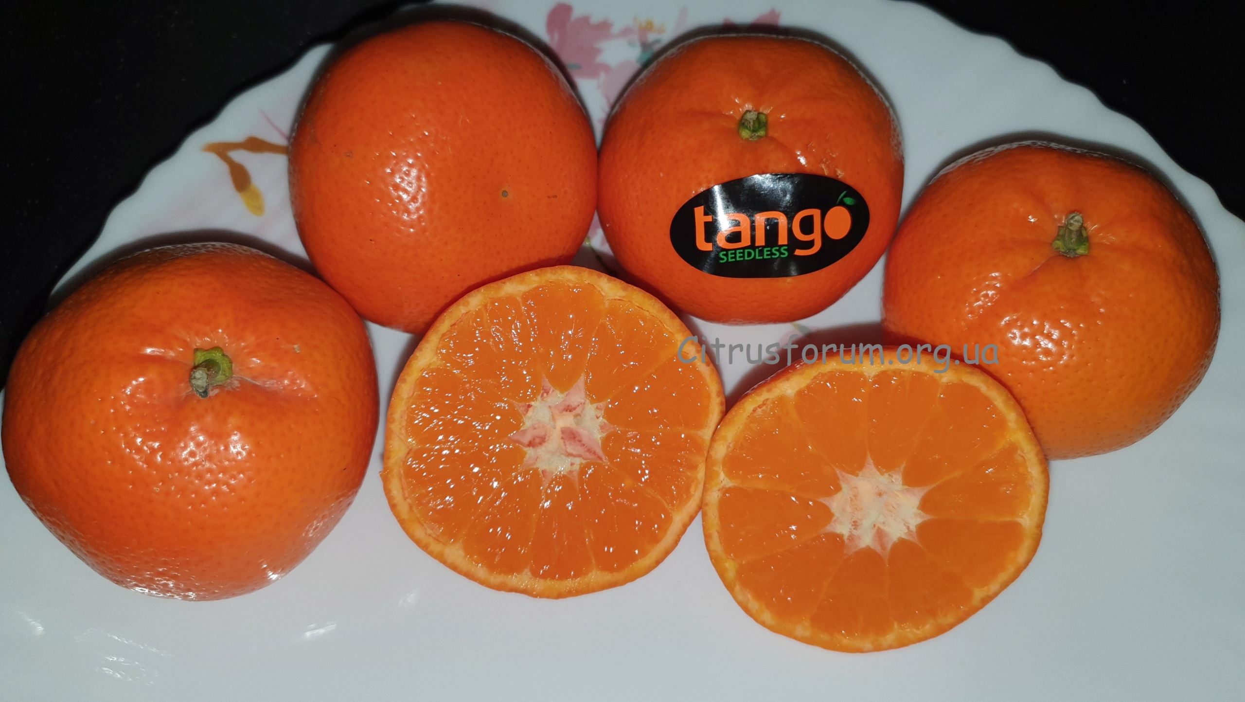 Tango mandarin (tangor) Tango_11