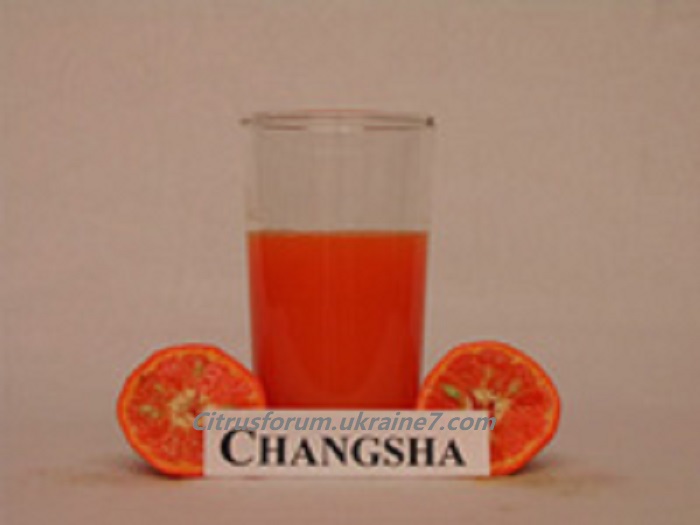 Changsha mandarin Unname53