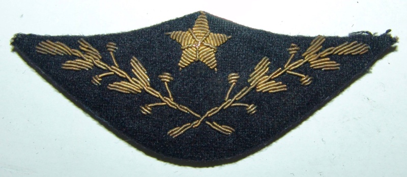 Casquette armée de l'air  Dsc00666