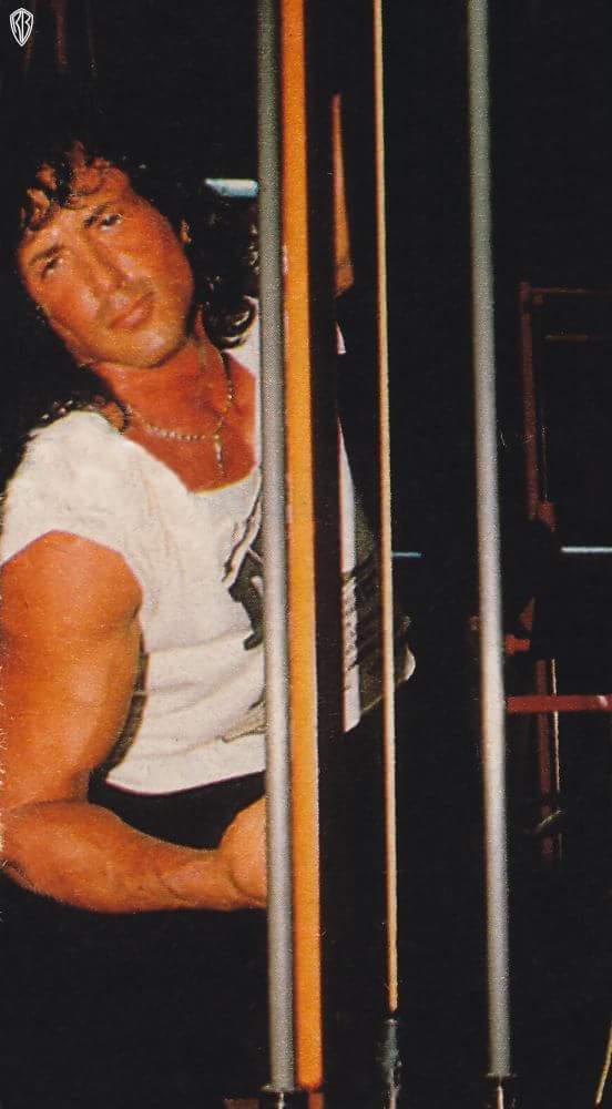 Photos Musculation et Entrainements Stallone - Page 17 Fb_im131