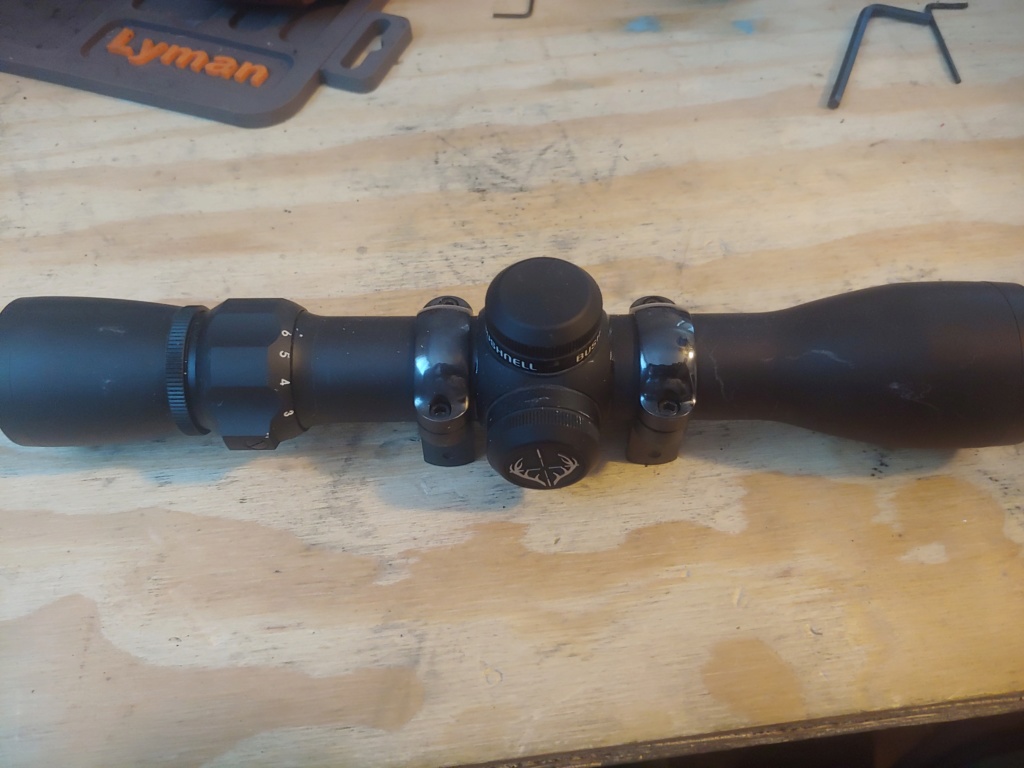 pardini red dot