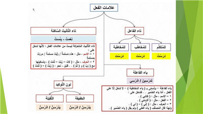 برنامج شرح ابن عقيل على ألفية ابن مالك في النحو 310