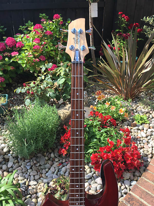 Shonky Thunder Bass. 0325