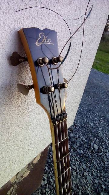 Eko Kiwi Bass. 2m6mhk10