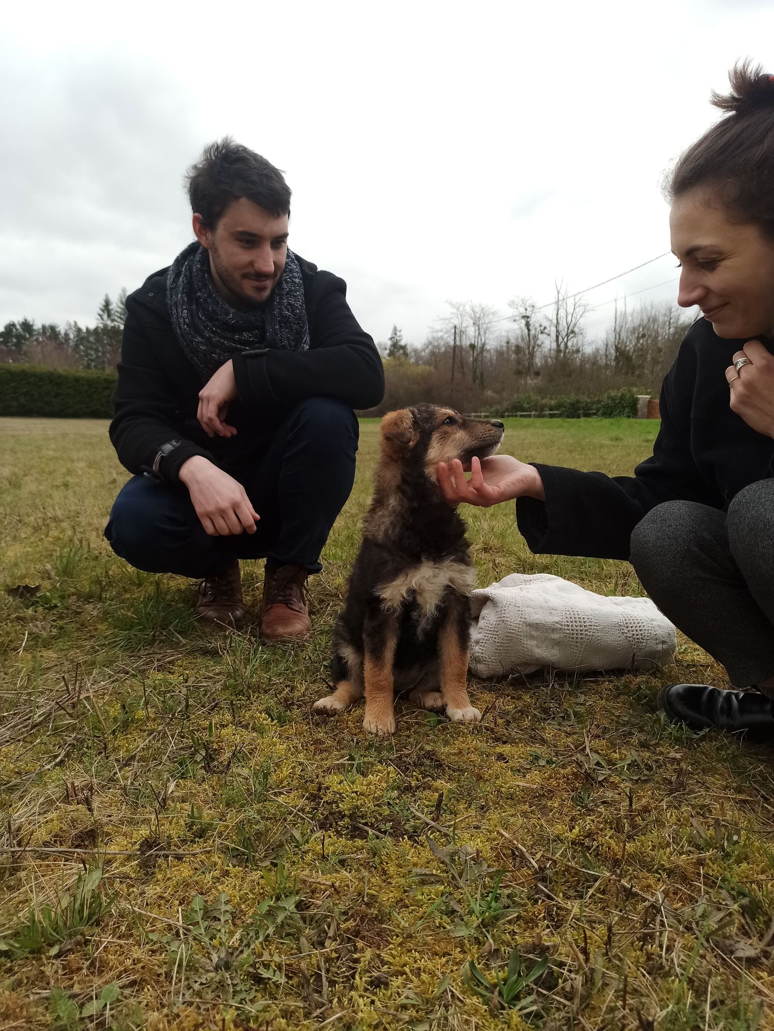 SUNNI - chiot femelle, de taille moyenne à l'âge adulte - née environ en novembre 2021 - REMEMBER ME LAND - En FA chez Pauline (89) - Adoptée par Hélène (91)  27761710