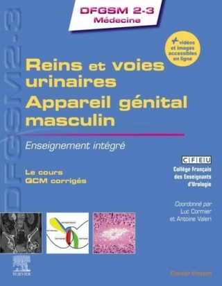 [anatomie]:Reins et voies urinaires - Appareil génital masculin - Collège DFGSM 2-3 pdf gratuit  - Page 6 Rein-e10