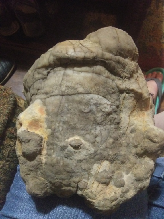 Can anyone identify this effigy? - Page 4 20210749