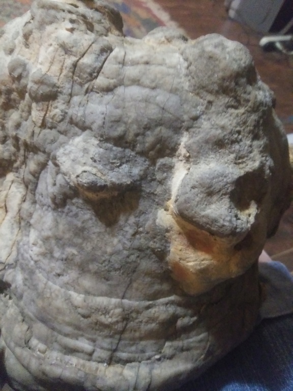 Can anyone identify this effigy? - Page 4 20210754