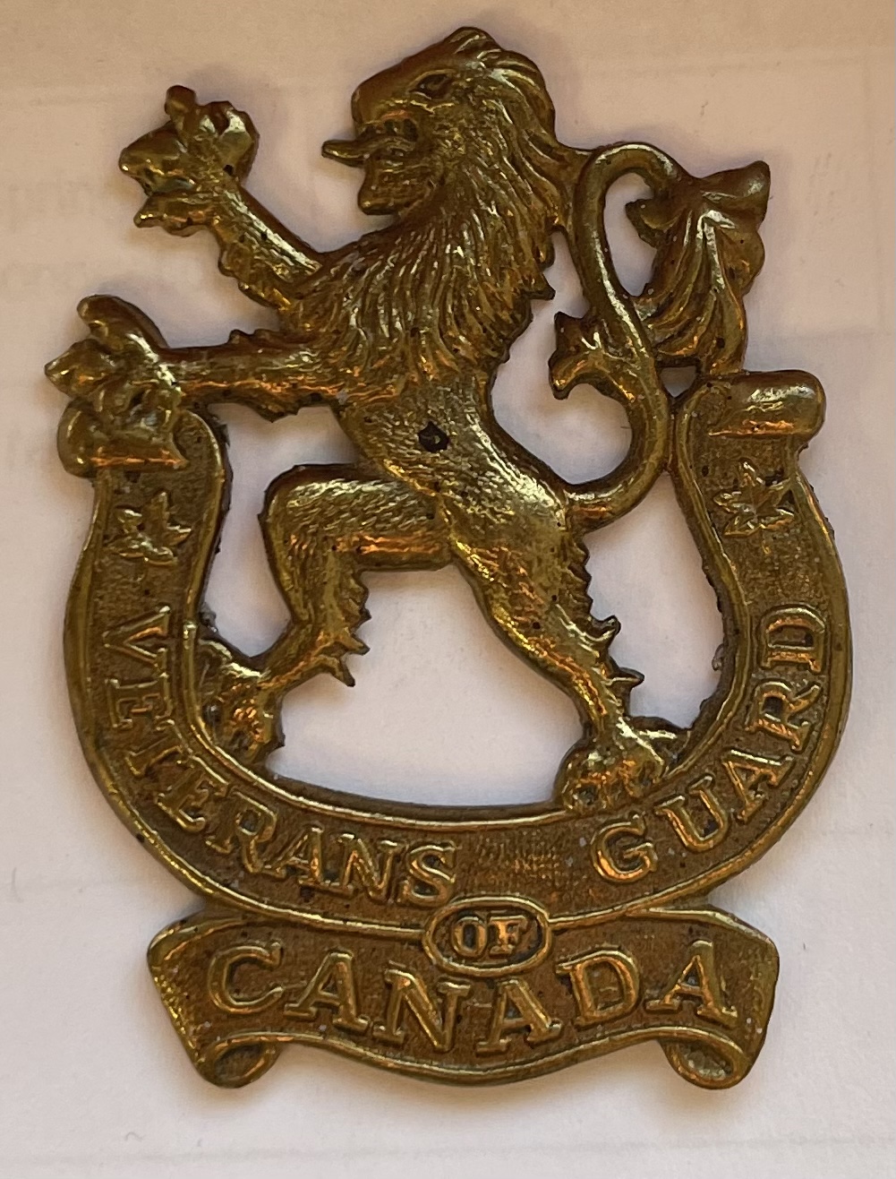 Badge de calot des Veterans Guard of Canada 73977610