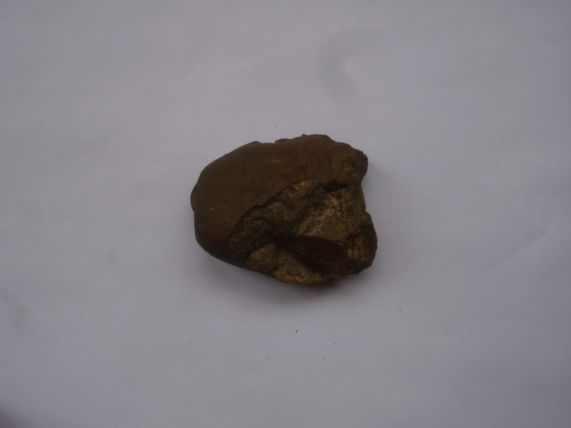Meteorite tombée devant moi  Dsc01010