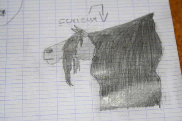 5 chevaux fait par... Moua! ^^ {+2} Curieu10