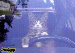 IMAGES DROLES SEULEMENT... HIHIHIHI.... Mdr10
