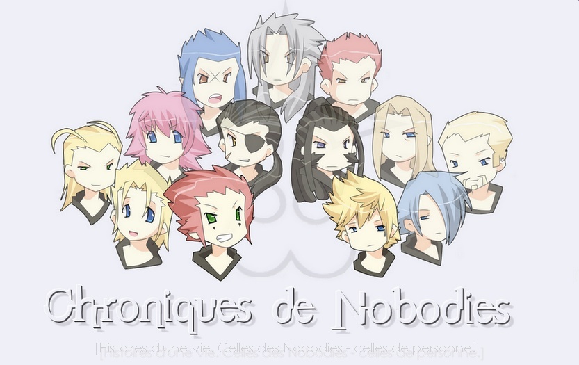 Chroniques de Nobodies