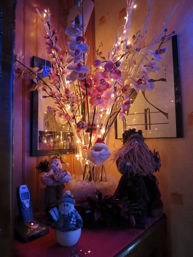 sapin de Noël Img_0127