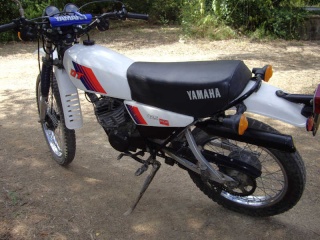 DTMX 125cc Membres / Mod. 1981 Intern10