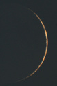 Très fin croissant de Lune Img_7412