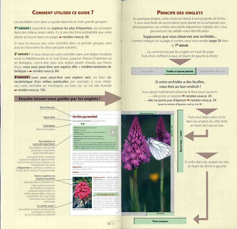 Les Orchidées de France [Dusak, Lebas, Pernot] Guide-13