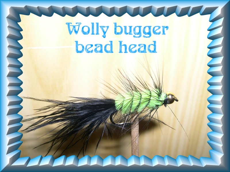 le wolly bugger bead head Entete10