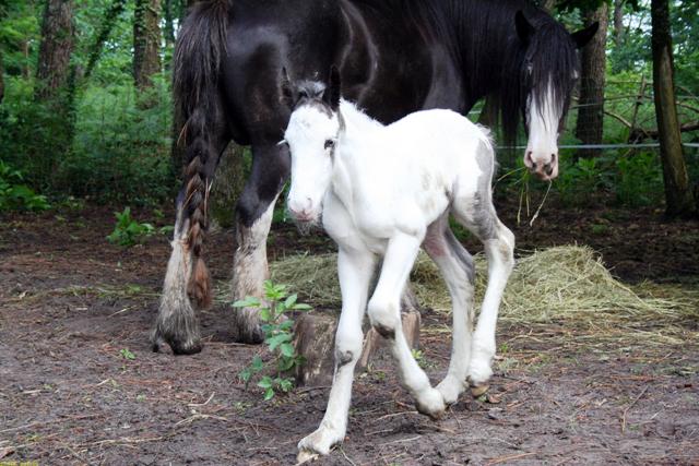 NESSIE X HUGHIE LES PHOTOS !!! Photo_12