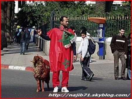 Only in morocco....! 77_bmp10