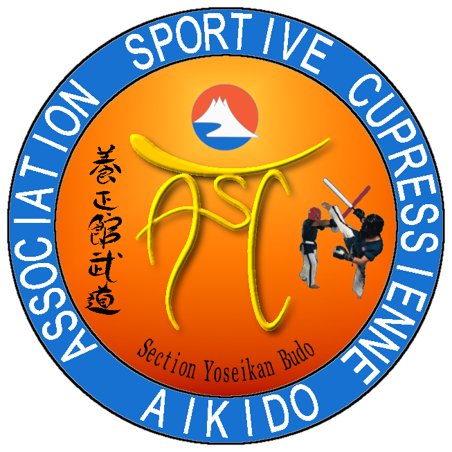 Concours : Nouveau logo de l'ASCA 6-310