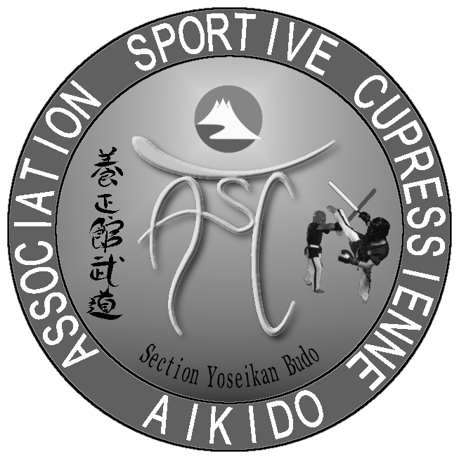 Concours : Nouveau logo de l'ASCA 6-3_gr10