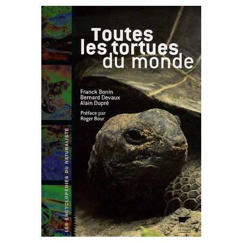 Toutes les tortues du monde 51mvcz12