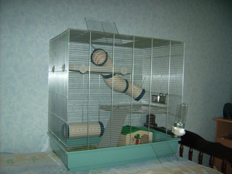 ma nouvelle cage Photo_10