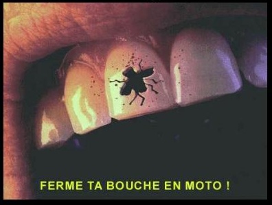 humour de toujour^^ - Page 4 Moto_b10