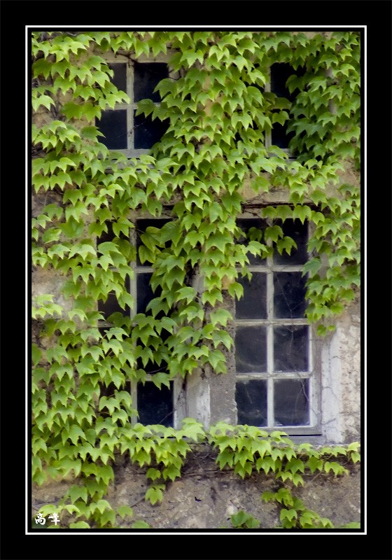 La fenêtre abandonnée P1010312