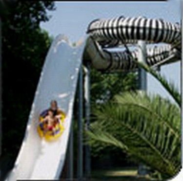 Parc EAU : Zébra Zebra10