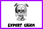 Expert Chien Expert Chien