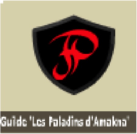 Les paladins d'amakna