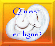 Qui est en ligne ?