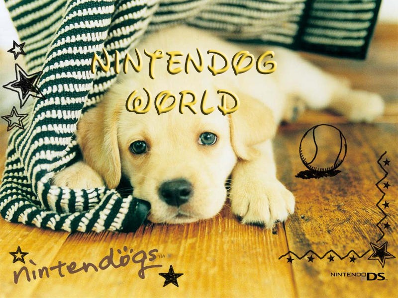 Nintendog World