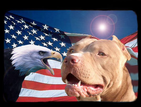 AMERICAN STAFFORSHIRE WALLPAPERS Indexi10