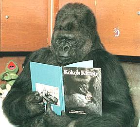 Lectrices, lecteurs… (Index dans le premier message) - Page 55 Gorill10