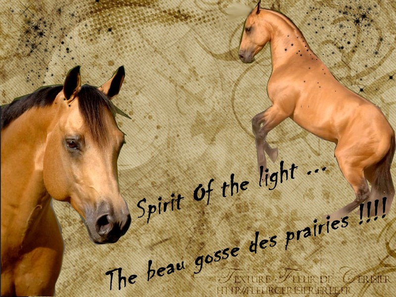 Spirit of the ligth ( pas a prendre !!!) Spirit10