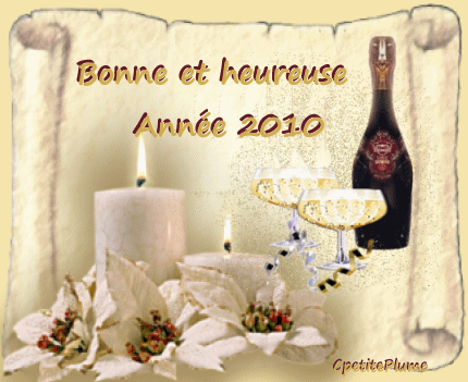 A tout les membres et leur familles et amis Bonne Année!!! Bonne_10