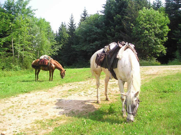 3 semaines dans le Jura / Doubs / Ain 09-sor10