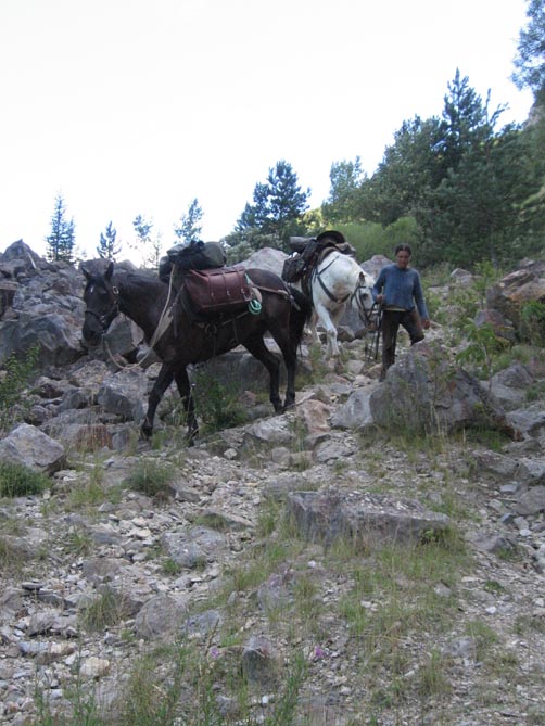 1 mois dans la Lozère (et Gard, Aveyron, etc...) Lozere16